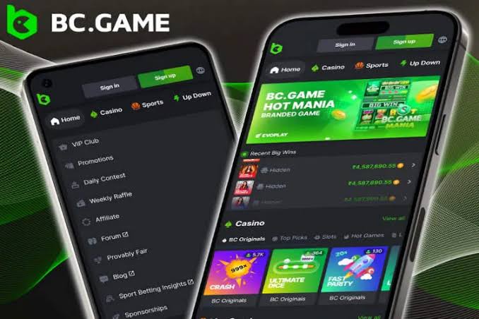 Explore Diverse Payment Options at BC.Game for Seamless Transactions
