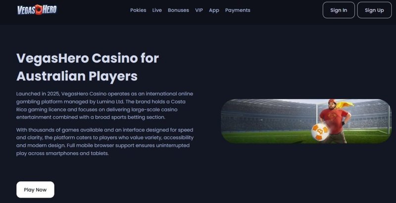 What you’ll learn about Vegas Hero Casino